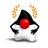 java_champions